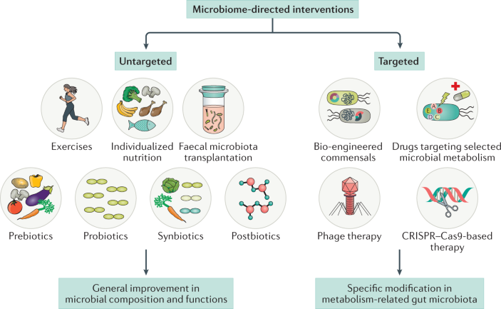 Gut Microbiota and Microbial Metabolism in Early Risk of