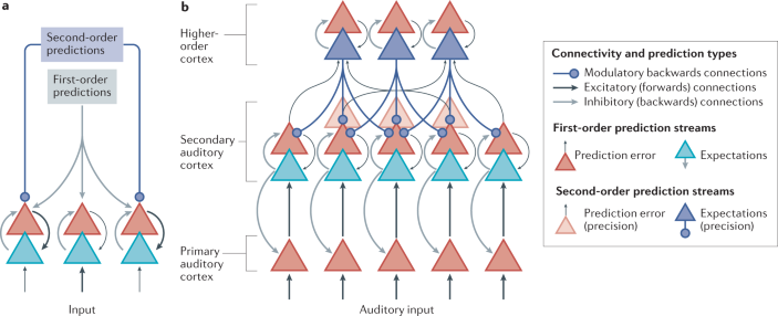 Music in the brain  Nature Reviews Neuroscience