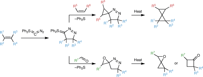 Spiro Cycle Spirocycles by transfer | Nature Synthesis
