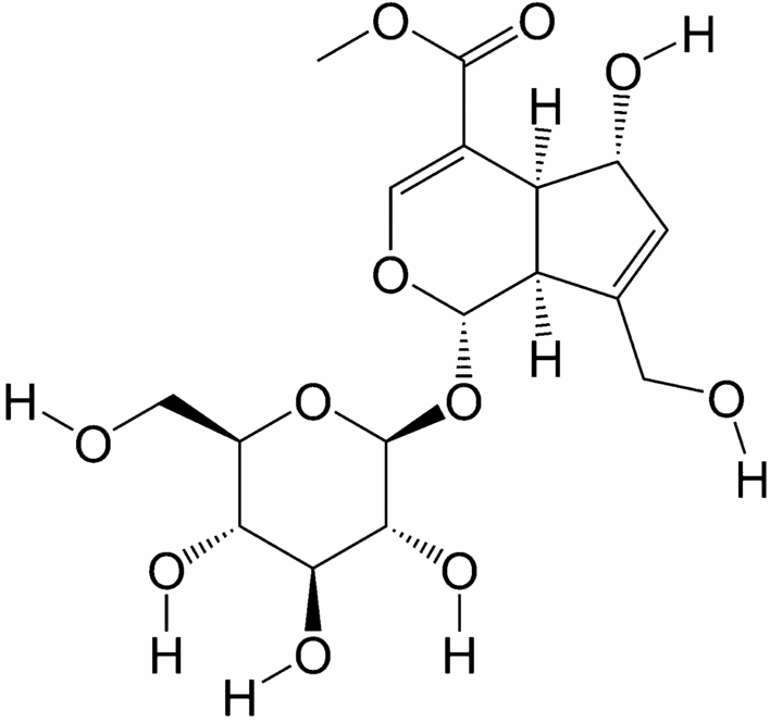 View full size image