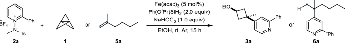 1,3-Difunctionalization of [1.1.1]propellane through iron-hydride ...