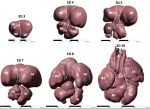 New Content Item © Naïja et al. 2024 Fig. 7
