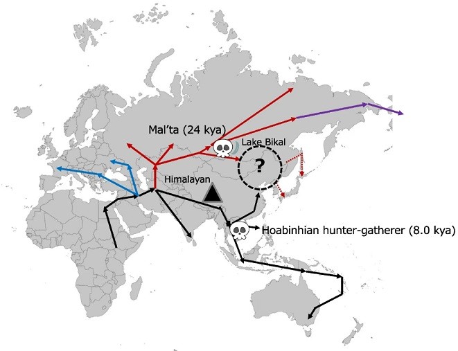 eurasia