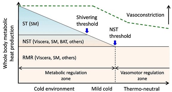 fig1