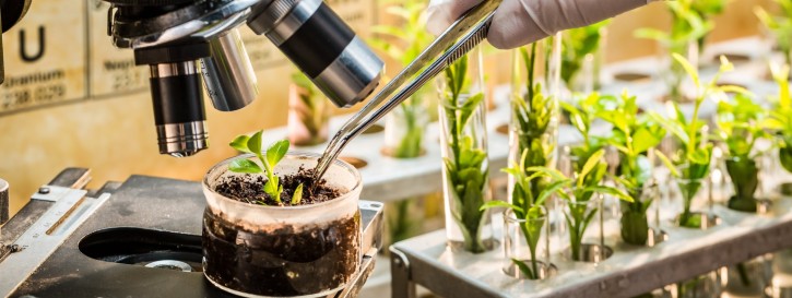 Plant Science
