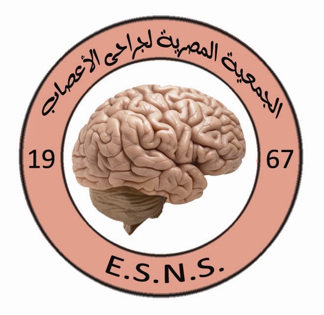 ESNS logo