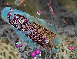 Cancer Nanotechnology