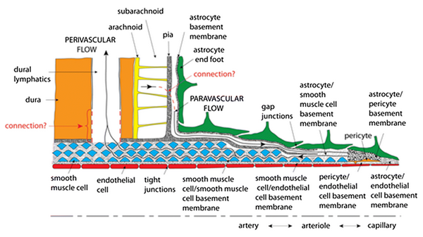 Sharp et al., 2019