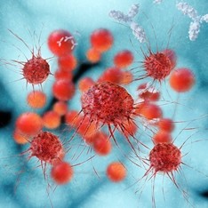 Cancer Immunotherapy