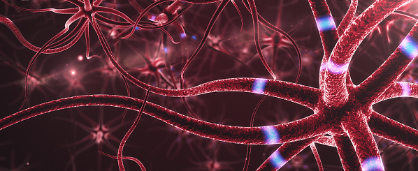 Neurons Neurons