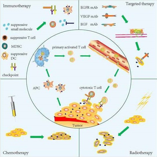 Fig. 2 from Combination regimens with PD-1/PD-L1 immune checkpoint inhibitors for gastrointestinal malignancies; Dr. Wang et al.