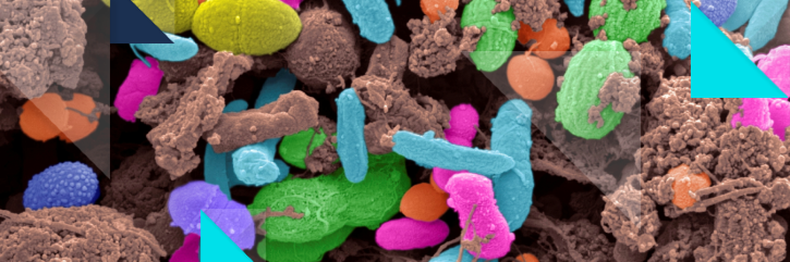 World Microbiome Day © Steve Gschmeissner