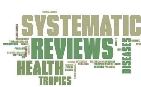 Systematic Review