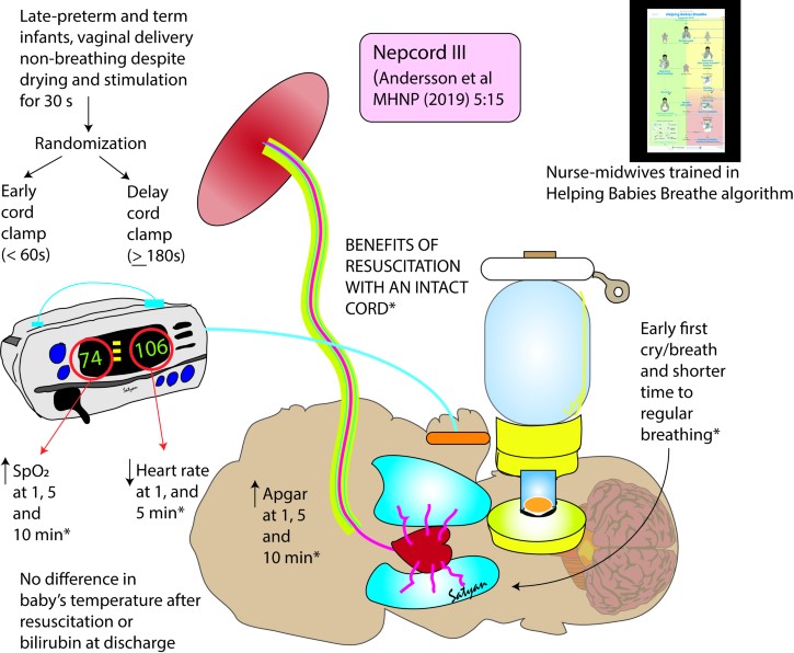 Maternal Health, Neonatology and Perinatology | Nepcord III diagram