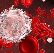 Blood Cancer Awareness Month © Kateryna_Kon / stock.adobe.com