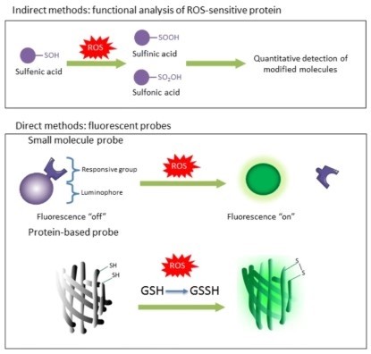 New Content Item New Content Item