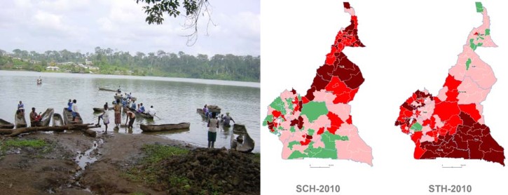Schistosomiasis and STH in Cameroon © Prof L.A. Tchuem Tchuenté