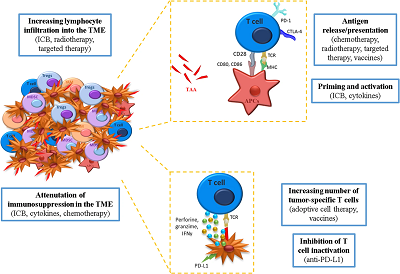 Cancer DNA vaccines image