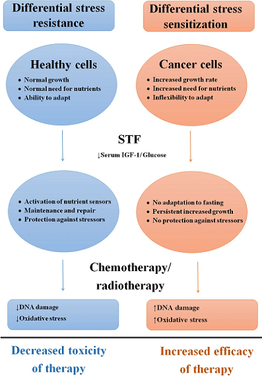 FR: Fasting image FR: Fasting image
