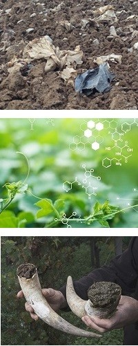 chemical and biological technologies in