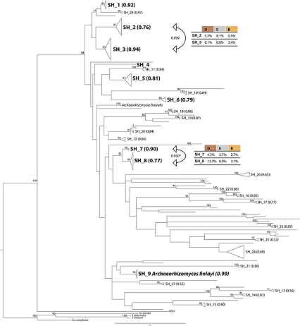 Fig. 1 from Khan et al./  CC BY 4.0 / Image resized