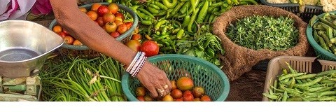 Aims and Scope of CABI Agriculture and Bioscience Aims and Scope of CABI Agriculture and Bioscience