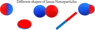 Different shapes of Janus Nanoparticles © 2021 Springer Nature Switzerland AG. Part of Springer Nature.