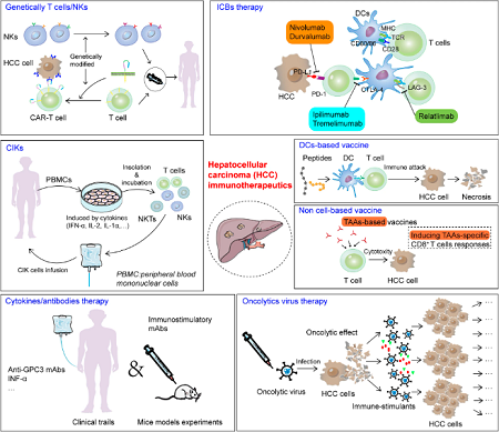 Journal Of Experimental Clinical Cancer Research Home Page