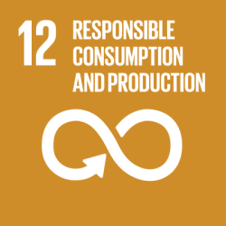 SDG 12 © United Nations