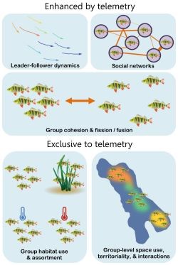 Lennox et al. © Lennox et al. 'A role for lakes in revealing the nature of animal movement using high dimensional telemetry systems'. 2021