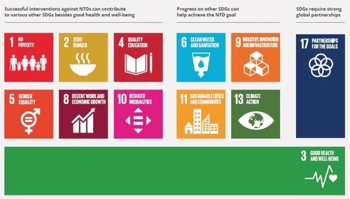 New Content Item (1) © United Nations, Sustainable Development Goals