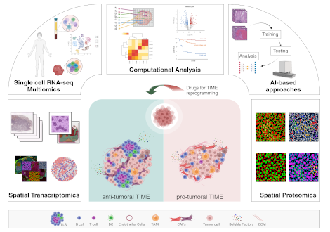 Home page | Journal of Experimental &amp; Clinical Cancer Research