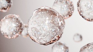 New Content Item (1)