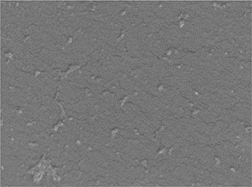 View full size image