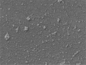 View full size image