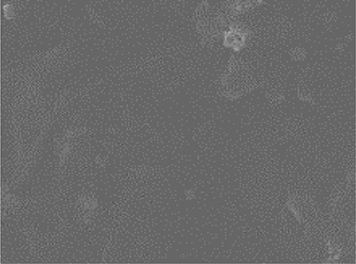 View full size image