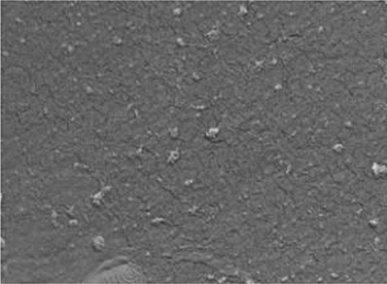 View full size image