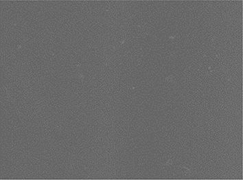 View full size image