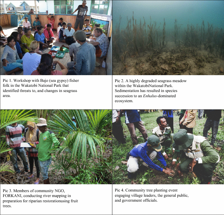 Global challenges for seagrass conservation