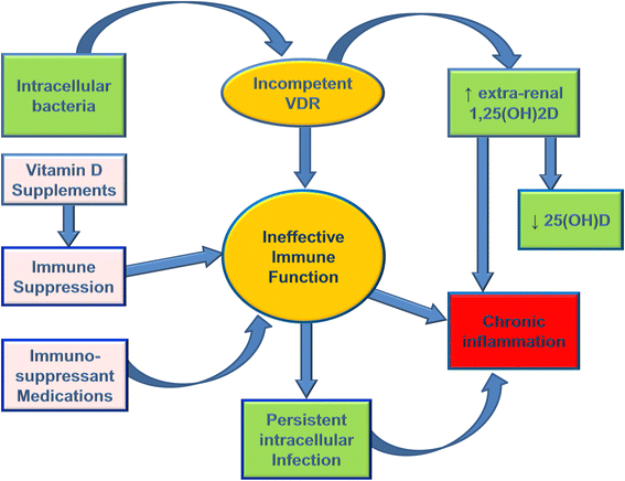 Inflammation And Vitamin D The Infection Connection