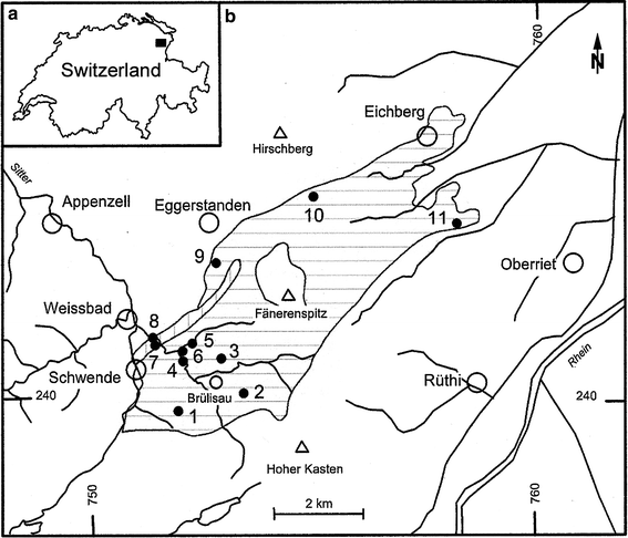 Taxonomy And Palaeoecology Of Brachiopods From The South