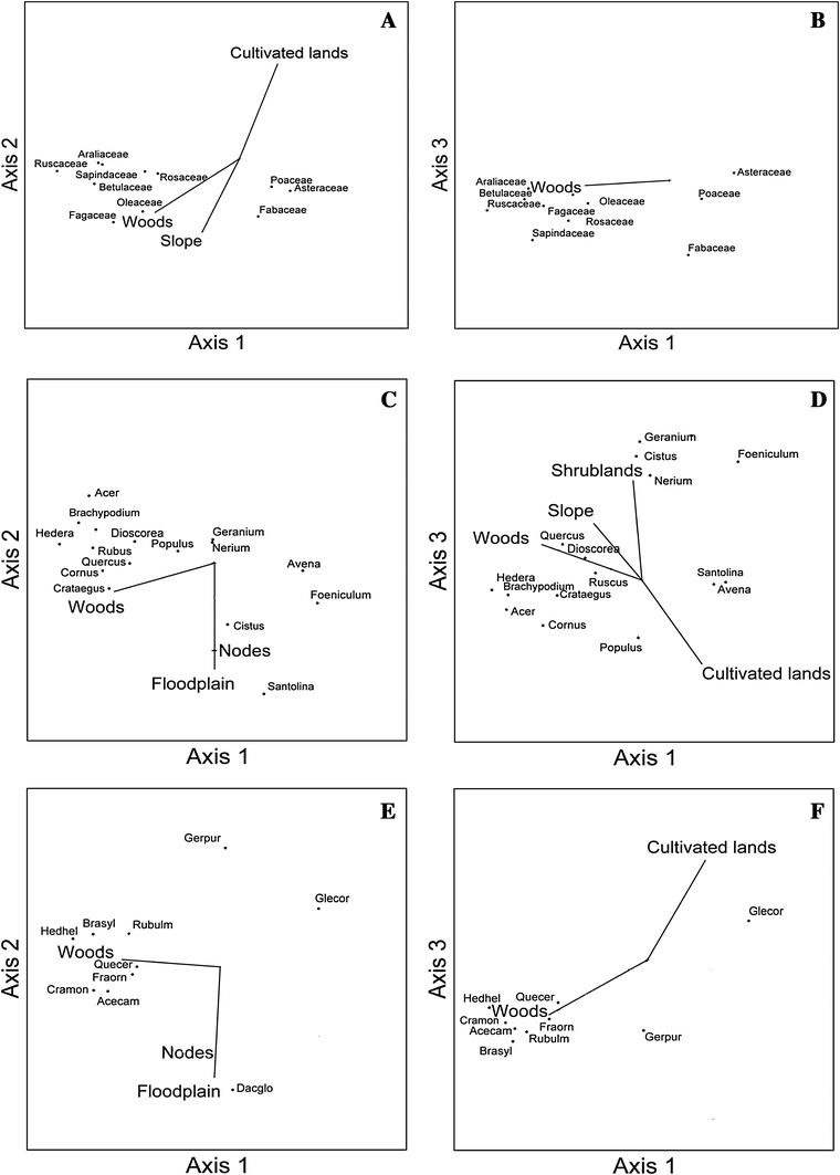 What Drives Riparian Plant Taxa And Assemblages In Mediterranean - open image in new window