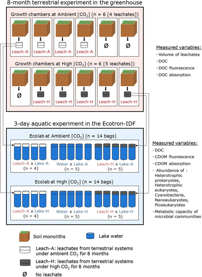 Impacts Of Elevated Atmospheric Co2 Concentration On - 