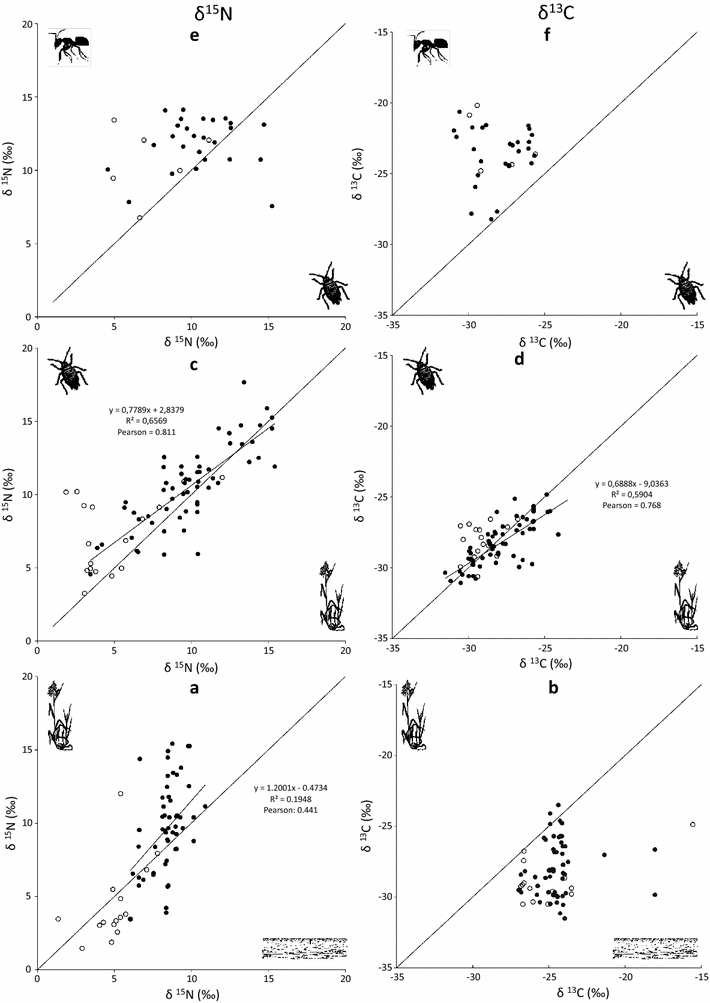 Evaluating the importance of trophobiosis in a Mediterranean