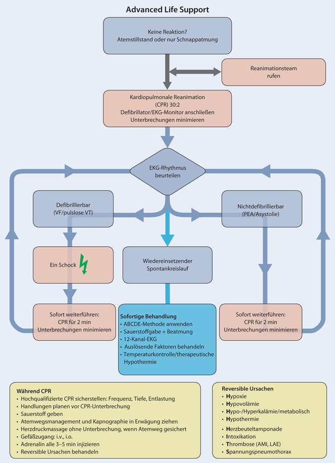 Innerklinische Reanimation SpringerLink