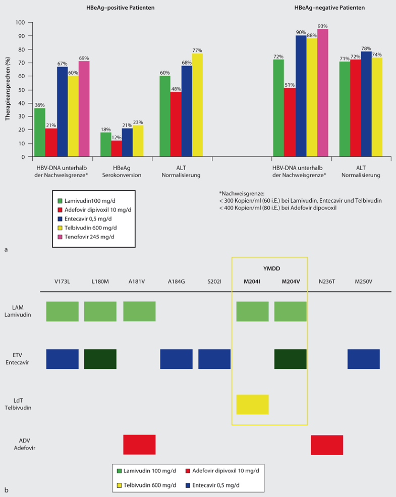 Diagnostik Und Therapie Der Chronischen Hepatitis B Und C Springerlink