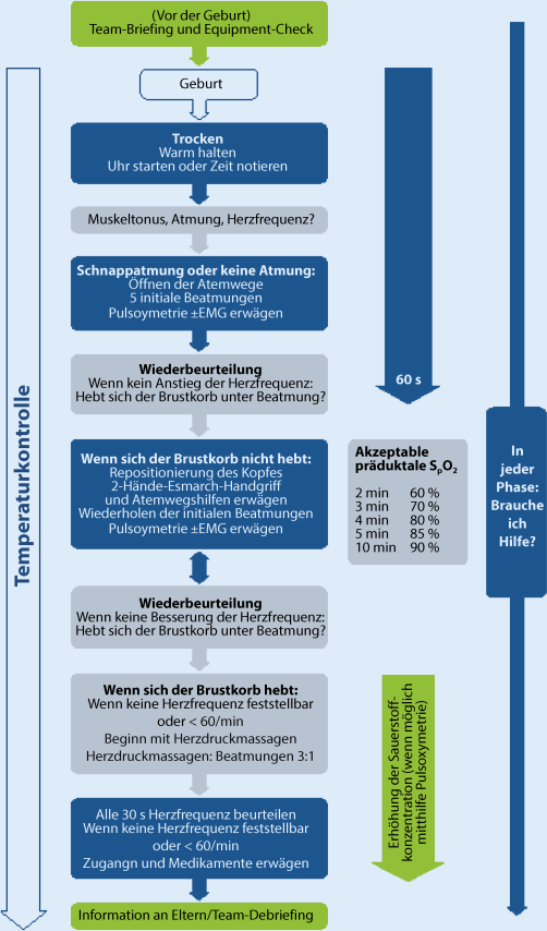 Stabilisierung und Reanimation des Neugeborenen direkt nach der Geburt ...