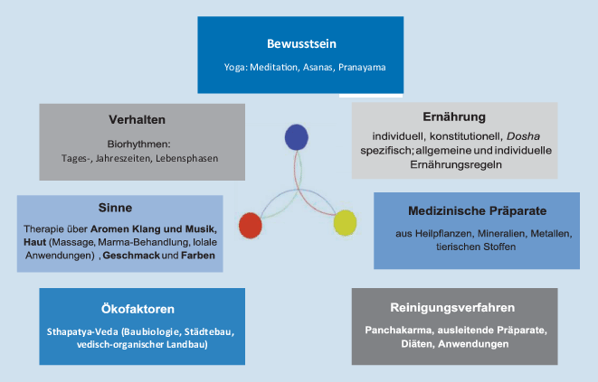Indische Ayurveda Medizin Eine Sinnvolle Ergänzung - 