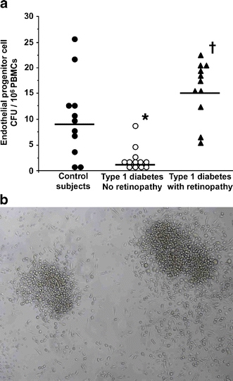 021 a number of epc colony-forming units (cfus) per 1×10 6