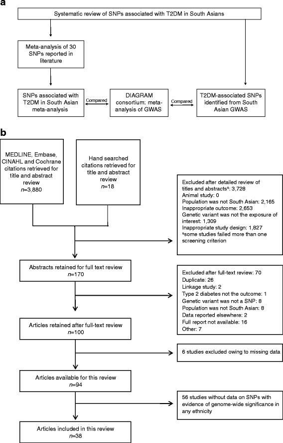 Dfci All Consortium Protocol Flow Diagram One Hundred